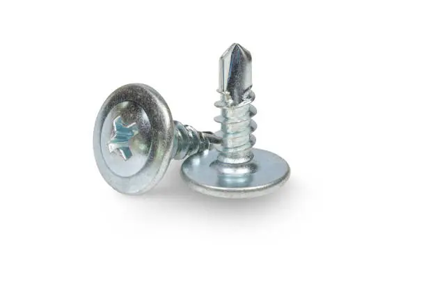 Self Tapping Screw